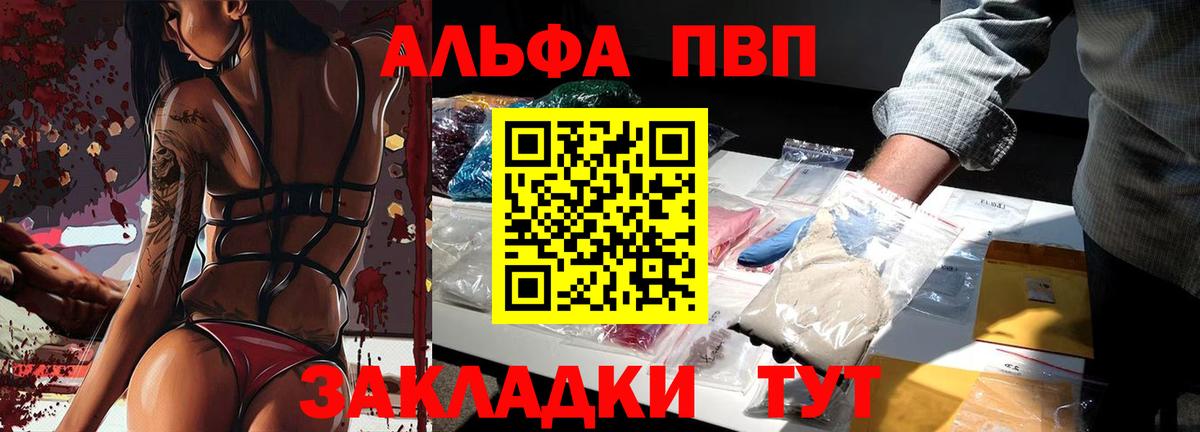 Alfa_PVP СК КРИС Куйбышев