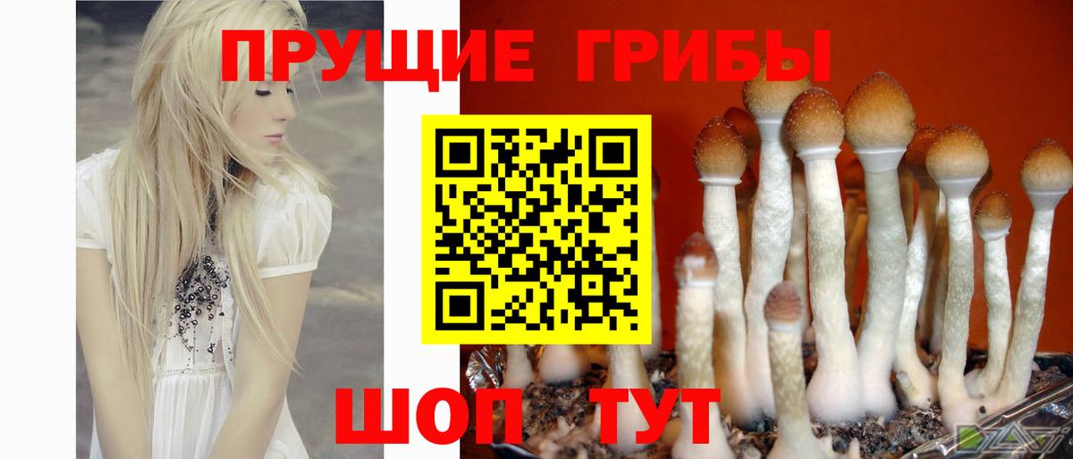 Галлюциногенные грибы ЛСД Куйбышев
